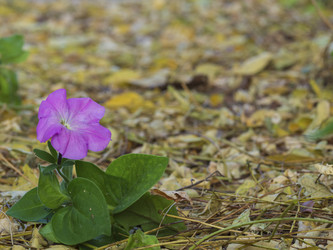 Similar image 21212623