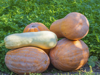 Similar image 21212625