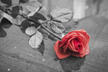 Similar image 21209836