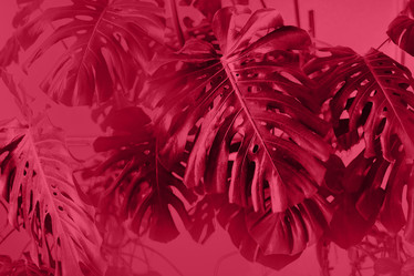 Similar image 21208161