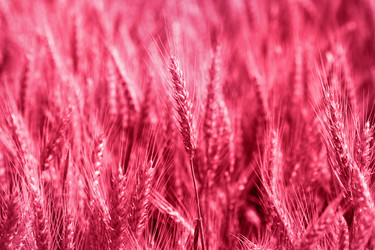 Similar image 21208162