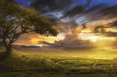 Similar image 21219722