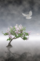 Similar image 21219728