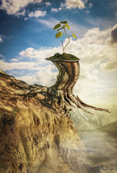 Similar image 21219729