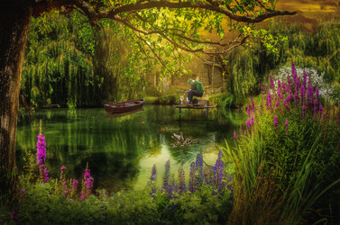 Similar image 21219736