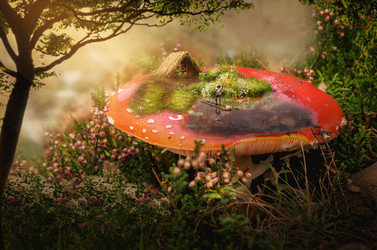 Similar image 21219740