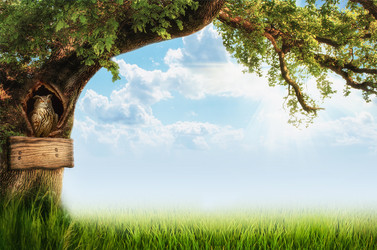 Similar image 21219742