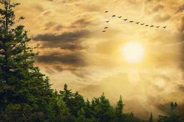 Similar image 21219745