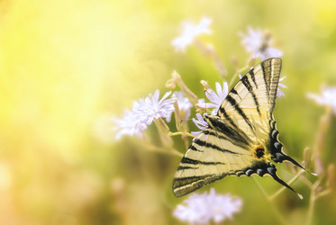 Similar image 21219749