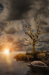 Similar image 21209581