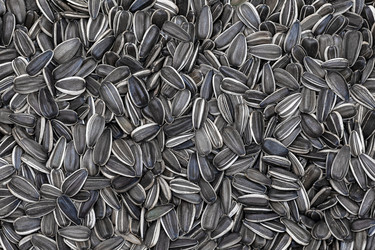 Similar image 21216656