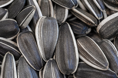 Similar image 21216658