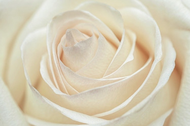 Similar image 21216694