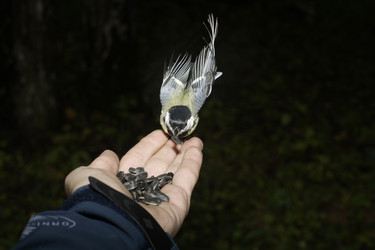 Similar image 21210201