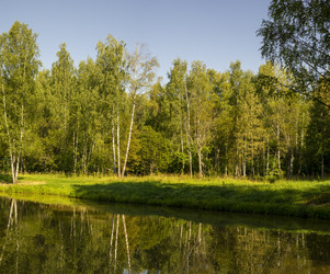 Similar image 21210214