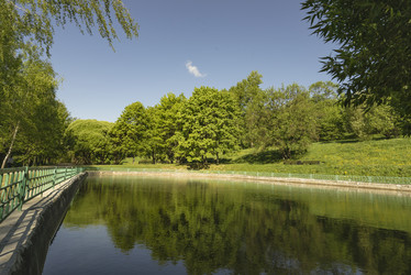 Similar image 21210216