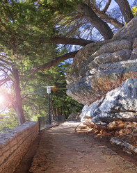 Similar image 21209596