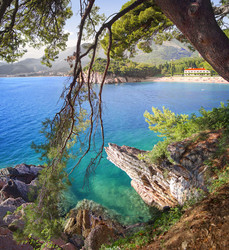 Similar image 21209597