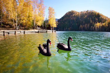 Similar image 21210548