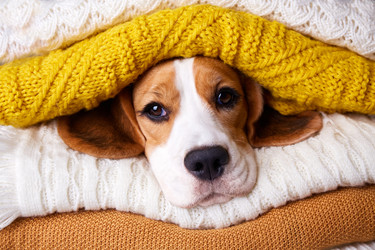 Similar image 21226297