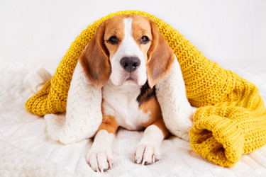 Similar image 21208743