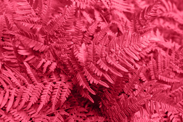 Similar image 21208747