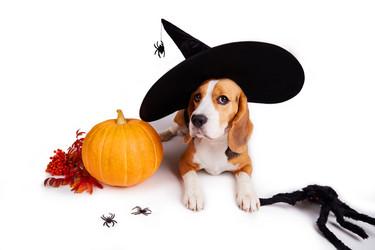 Similar image 21211158