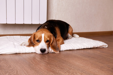 Similar image 21210319