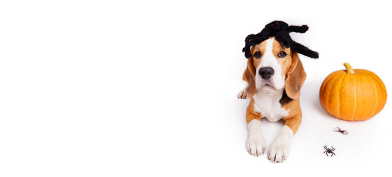 Similar image 21211160