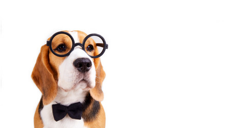 Similar image 21211164