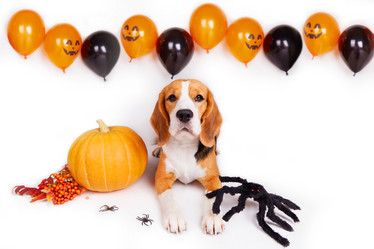 Similar image 21212877