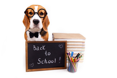 Similar image 21210326