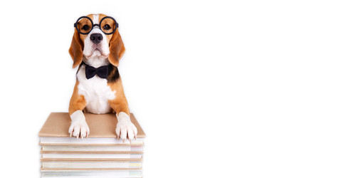 Similar image 21210329