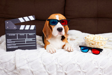 Similar image 21226298