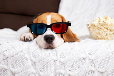 Similar image 21210331