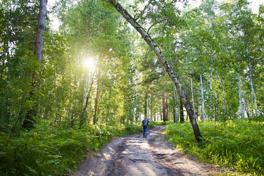 Similar image 21226299