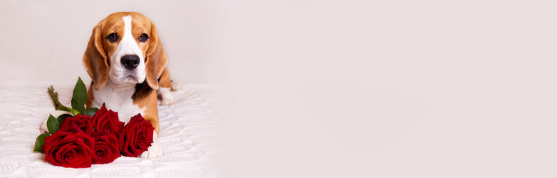 Similar image 21212885