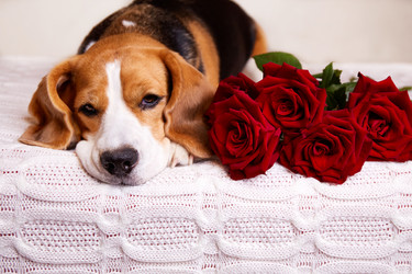 Similar image 21211169