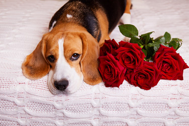 Similar image 21212893