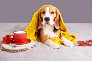 Similar image 21212894