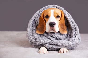 Similar image 21211170