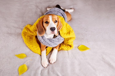 Similar image 21211171