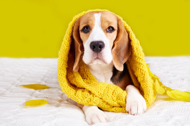 Similar image 21210395