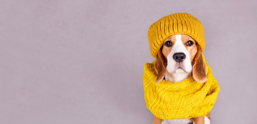 Similar image 21212897