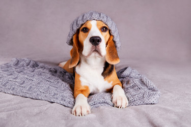 Similar image 21210398