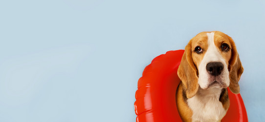 Similar image 21211173