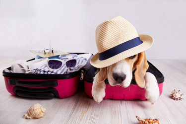 Similar image 21211175