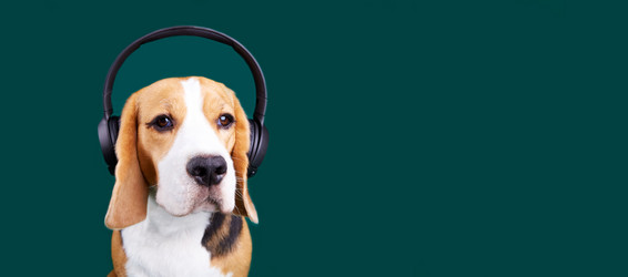 Similar image 21225945