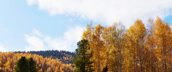 Similar image 21210560