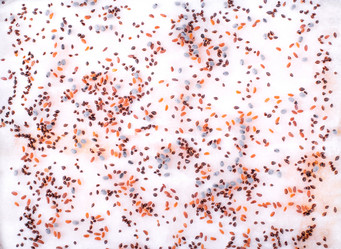 Similar image 21221196